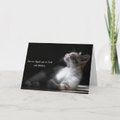 猫は来天使だ 案内状 (正面)