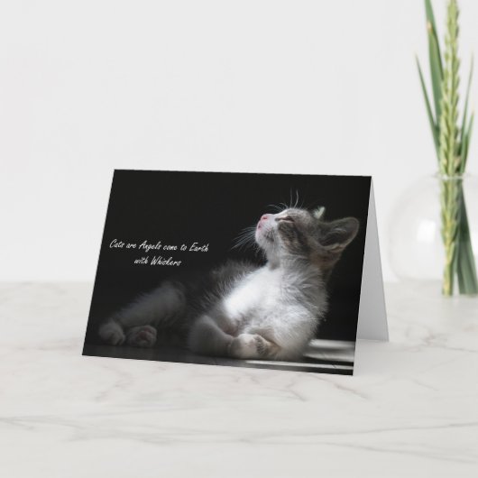 猫は来天使だ 案内状 (正面)