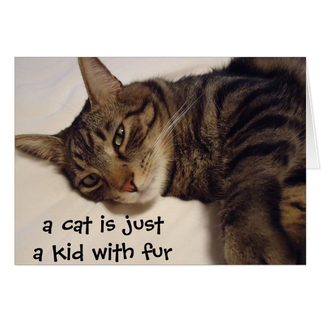 猫は毛皮を持つちょうど子供です (正面横)