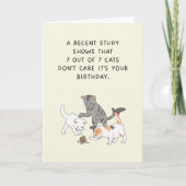 猫は気にユーモアのある誕生日 シーズンカード (正面)