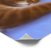 猫は洗濯のポスターが大好き ポスター (角)