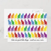 猫は犬のはがき ポストカード (正面/裏面)