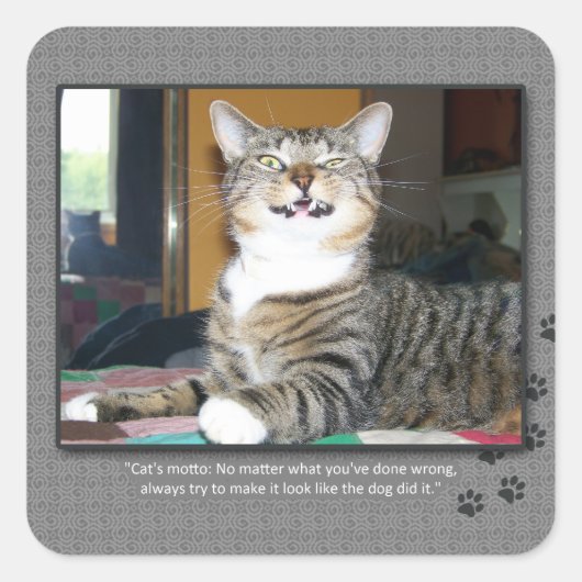猫は犬の責任にします スクエアシール (正面)