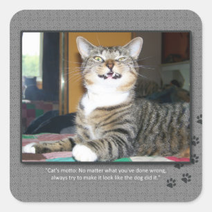 猫は犬の責任にします スクエアシール