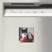 猫は生きるために… マグネット (インサイチュ (食洗機))