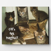 猫は目的である フォトプラーク (正面)