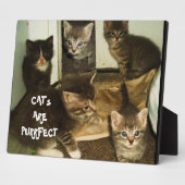 猫は目的である フォトプラーク (側面)