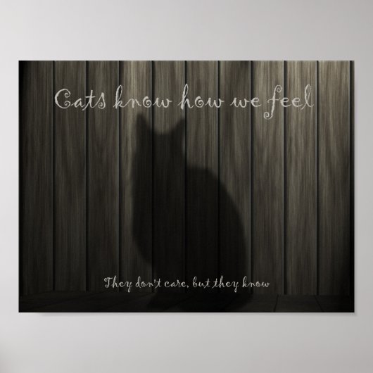 猫は私たちの感情を知っている ポスター (正面)