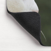 猫は私のお気に入りの民 マウスパッド (コーナー)