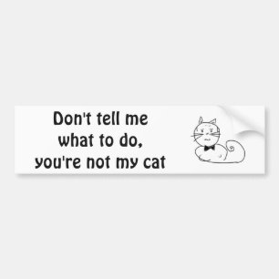 猫は私のボスです バンパーステッカー