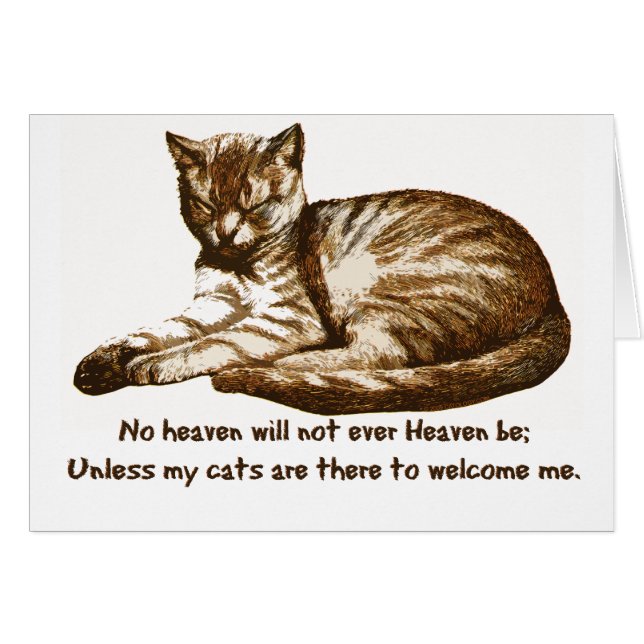 猫は私を歓迎します (正面横)