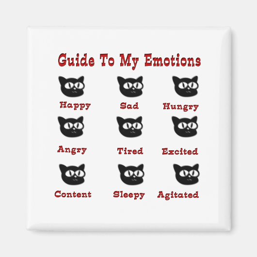 猫は自分の感情を導く マグネット (正面)