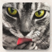 猫は舐めます コースター (正面)