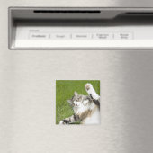 猫は草の上に横たわり、クローズアップ マグネット (インサイチュ (食洗機))