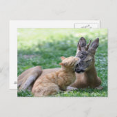 猫は鹿を愛する ポストカード (正面/裏面)