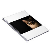 猫は20最高の ノートブック (右側)