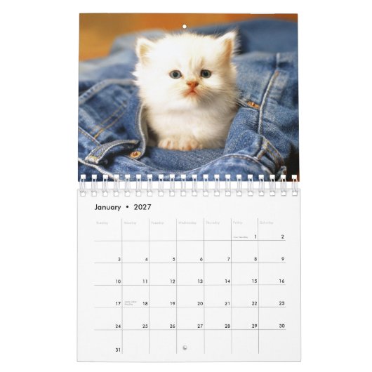 猫は2012年をカレンダーに記録します カレンダー (1月 2027)