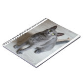 猫は57最高の ノートブック (左側)