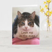 猫は60枚信じのカードじゃダメだ カード (黄色い花)