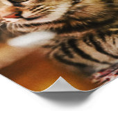 猫は85最高の ポスター (角)