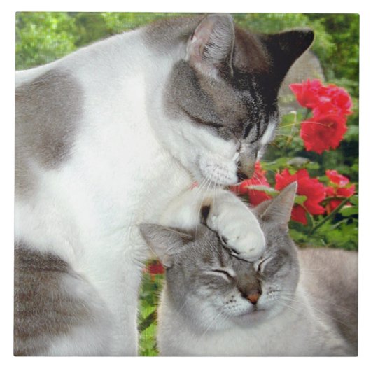 猫は#3タイルをlove タイル (正面)