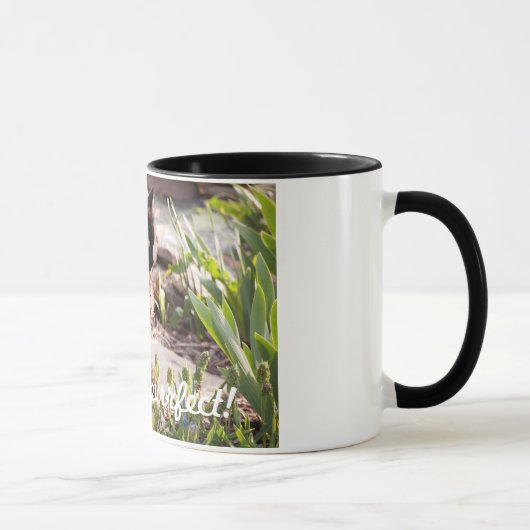 猫はPURFFECTのコーヒー・マグです マグカップ (右)