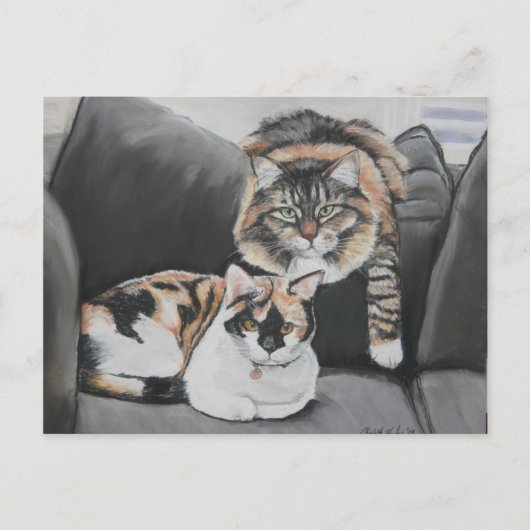 猫ぶら下がったの絵はがき ポストカード (正面)