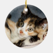 猫または子ネコの採用の発表 セラミックオーナメント (裏面)