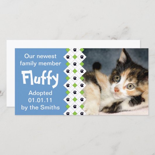 猫または子ネコの採用の発表 案内状 (正面/裏面)