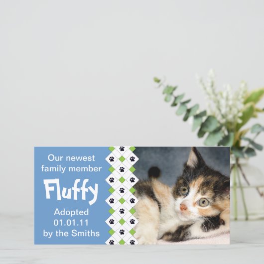 猫または子ネコの採用の発表 案内状 (スタンド正面)