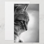 猫めい想の白黒 便箋 (正面/裏面)
