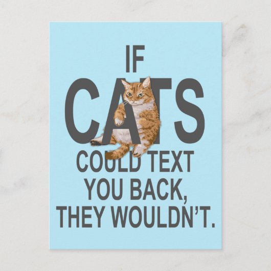 猫もしは文字しても戻らないおもしろい ポストカード (正面)