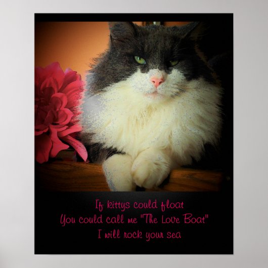 猫もしは浮く ポスター (正面)