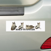 猫もし好き バンパーステッカー (車上)