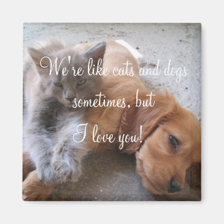 猫も犬も磁石が好き マグネット