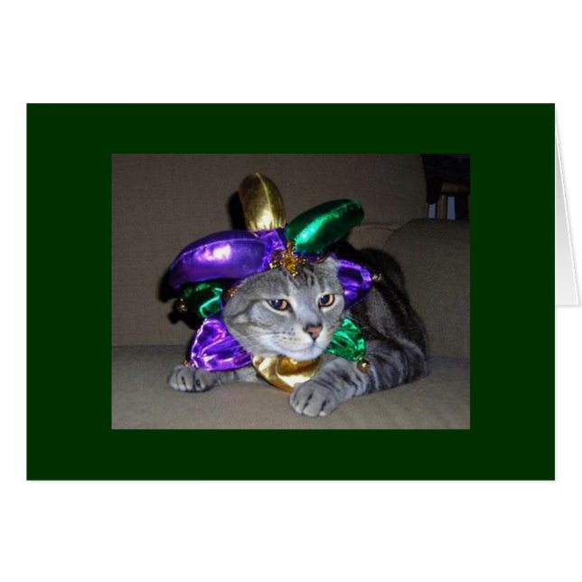 猫も祝お前は5O (正面横)