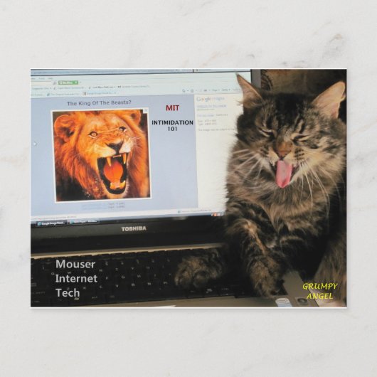 猫もMITでマウザーインターネット技術を学ぶ ポストカード (正面)