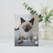 猫や子猫の里親募集のフォトカード、ペットの紹介 ポストカード (スタンド正面)