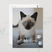 猫や子猫の里親募集のフォトカード、ペットの紹介 ポストカード (正面/裏面)