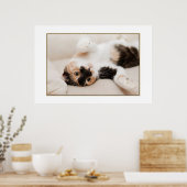 猫よくはしゃぐポスター ポスター (キッチン)