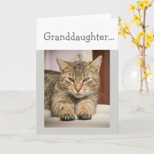 猫よさそうな孫娘誕生日おもしろい動物 カード (黄色い花)