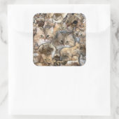 猫よ！シベリアの森林のシール スクエアシール (バッグ)