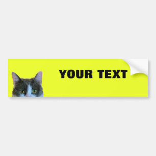 猫をかいま見ますあなたの文字"はっきりしたな黄色で"フォリオ余分に バンパーステッカー