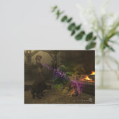 猫をからかうな ポストカード (スタンド正面)