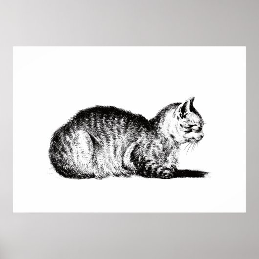 猫をリクライニングして、ジャン・バーナード, 1812 ポスター (正面)