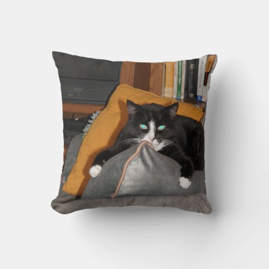 猫をリラックスして下さい クッション (正面)