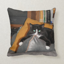 猫をリラックスして下さい