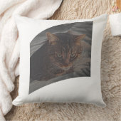 猫を休ませよ クッション (ブランケット)