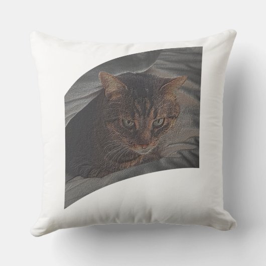 猫を休ませよ クッション (裏面)