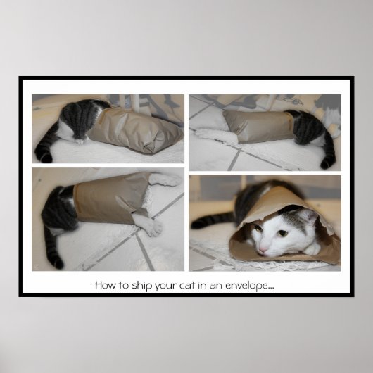 猫を封筒に入れて出荷する方法…おもしろいプリント ポスター (正面)